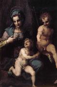 Andrea del Sarto The Virgin and Child with St. John childhood china oil painting reproduction